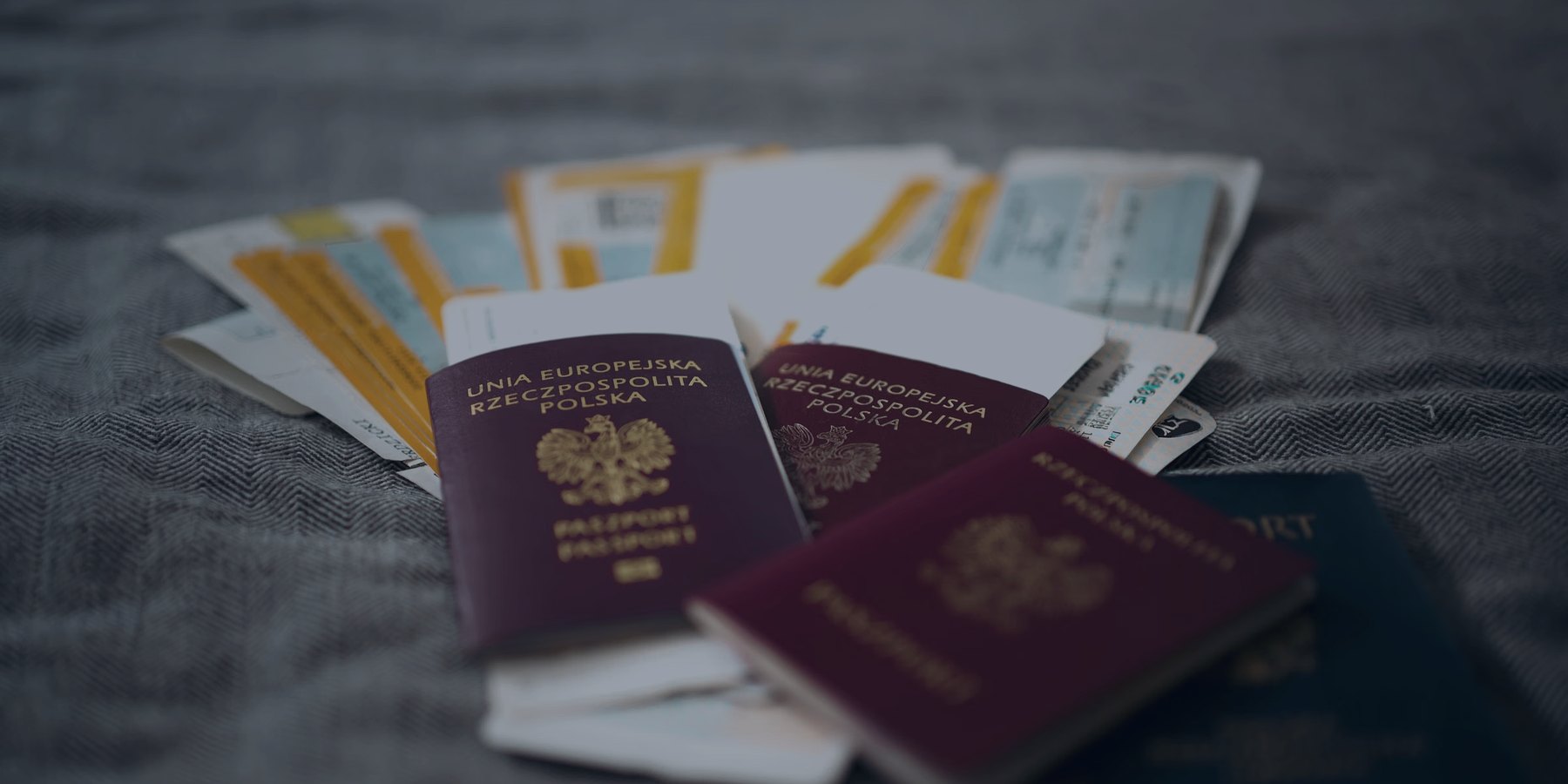 Privacy policy — Cross Border Transport